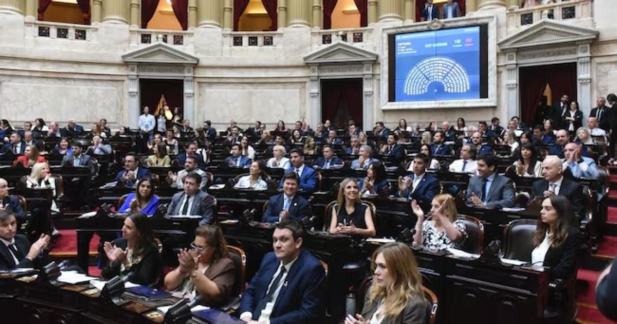 Diputados rechazoacute el capiacutetulo 11 que derogaba las leyes de discapacidad y universidades