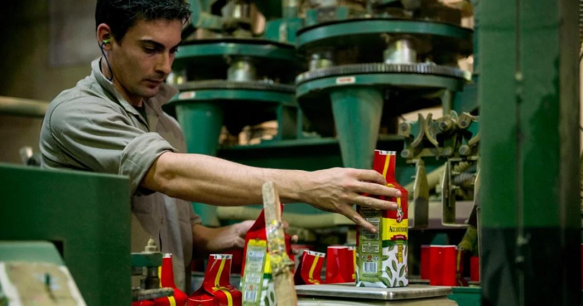 Informe- fuerte caiacuteda del empleo y empresas desde la asuncioacuten de Milei