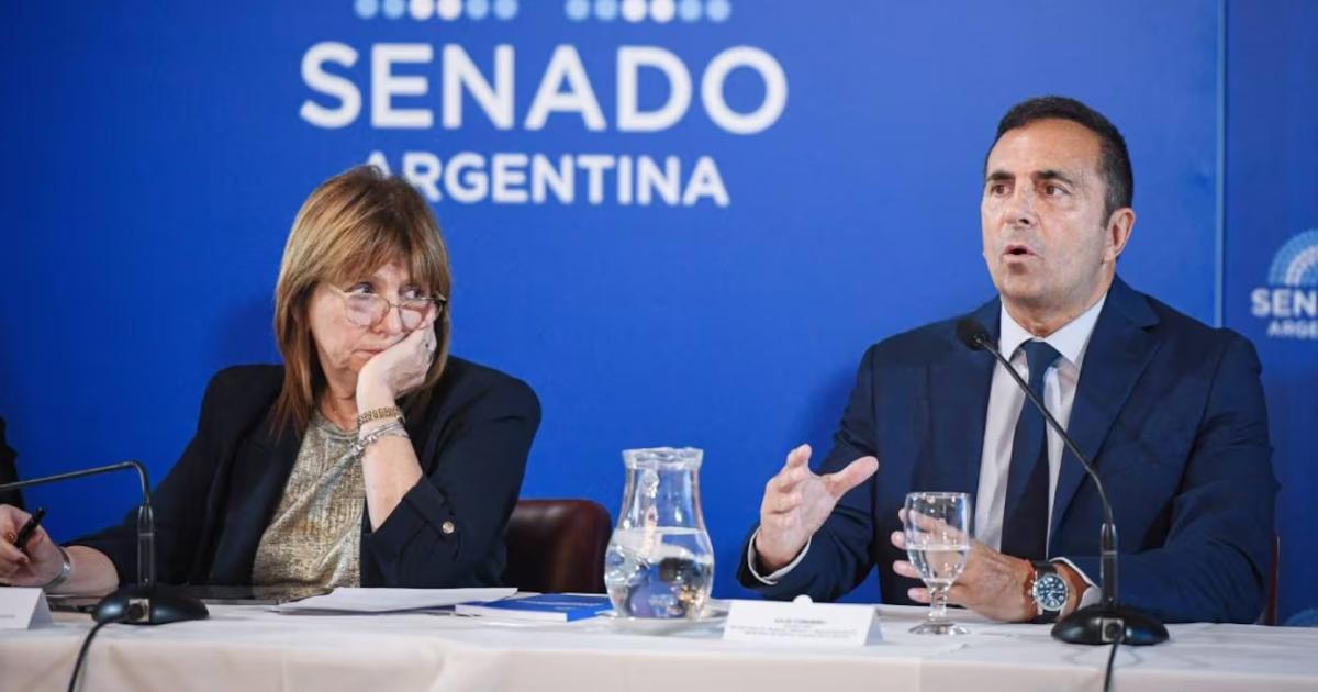 (Foto- NA - Comunicación Senado)