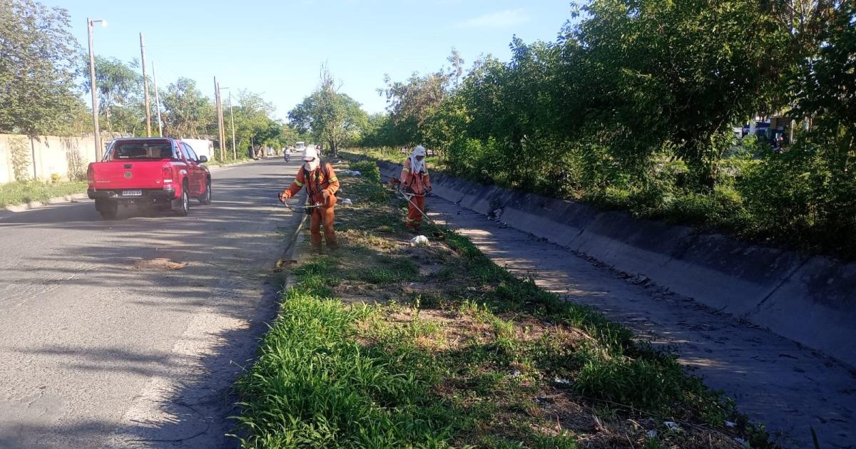La Municipalidad realizoacute operativos simultaacuteneos de desmalezamientos en distintos barrios