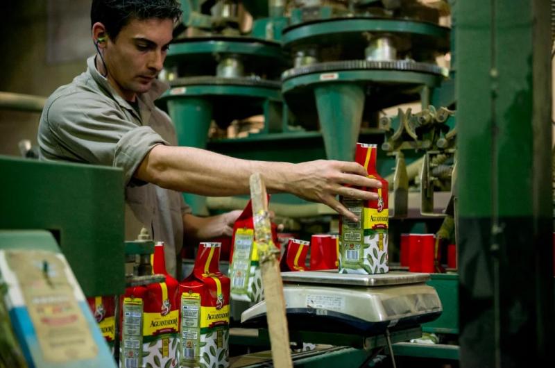 Informe- fuerte caiacuteda del empleo y empresas desde la asuncioacuten de Milei