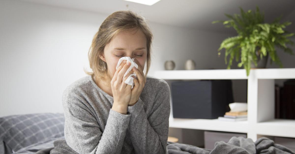 Gripe H3N2 variante K- todo lo que necesitas saber sobre siacutentomas y prevencioacuten