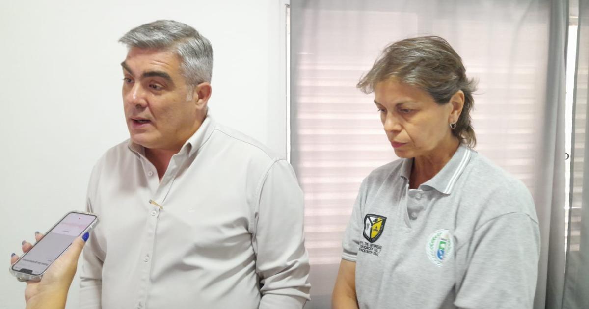 Buscan mejorar el traacutemite para sacar la licencia de conducir