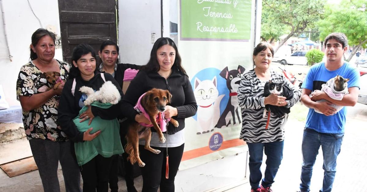 Zoonosis realizoacute maacutes de 4800 castraciones gratuitas de mascotas durante 2025
