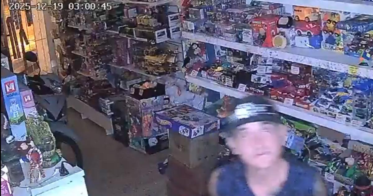 Las caacutemaras lo delataron- reincidente roboacute una jugueteriacutea y fue capturado