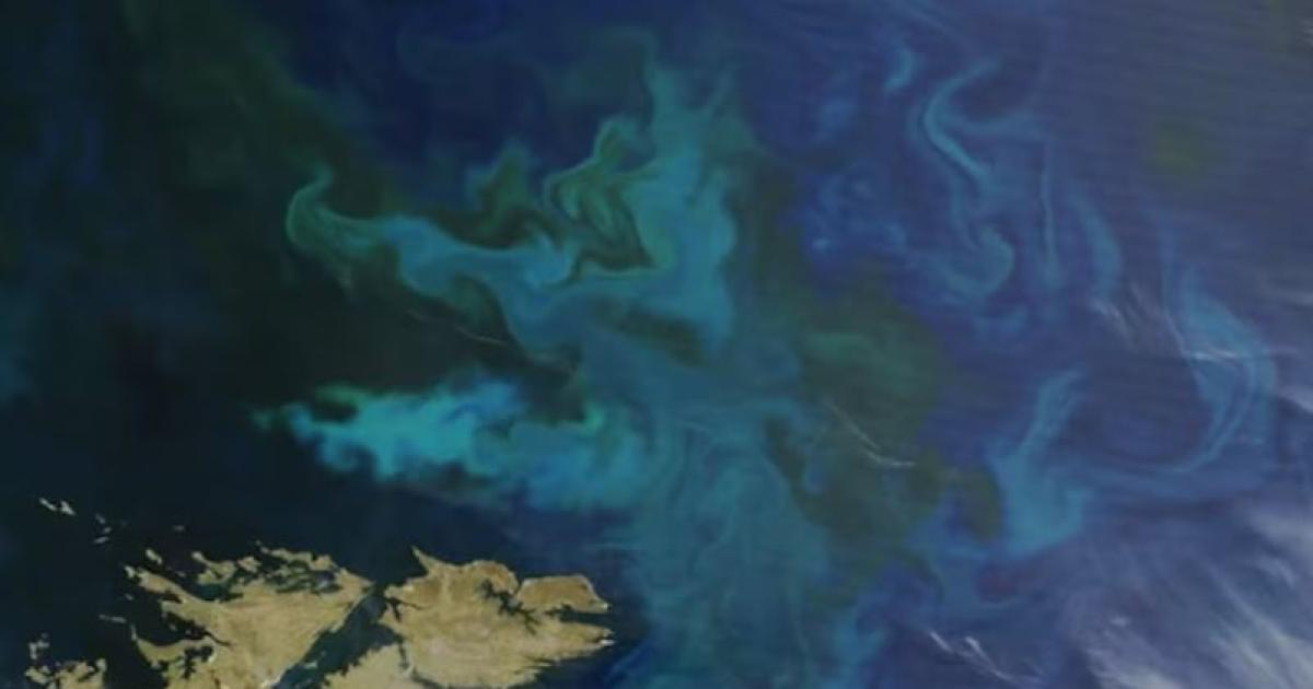 iquestQueacute posibilidades hay de recuperar las Malvinas