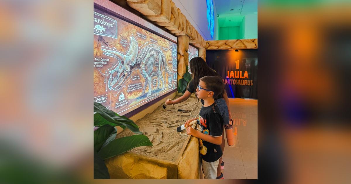 Ideal para los m�s chicos