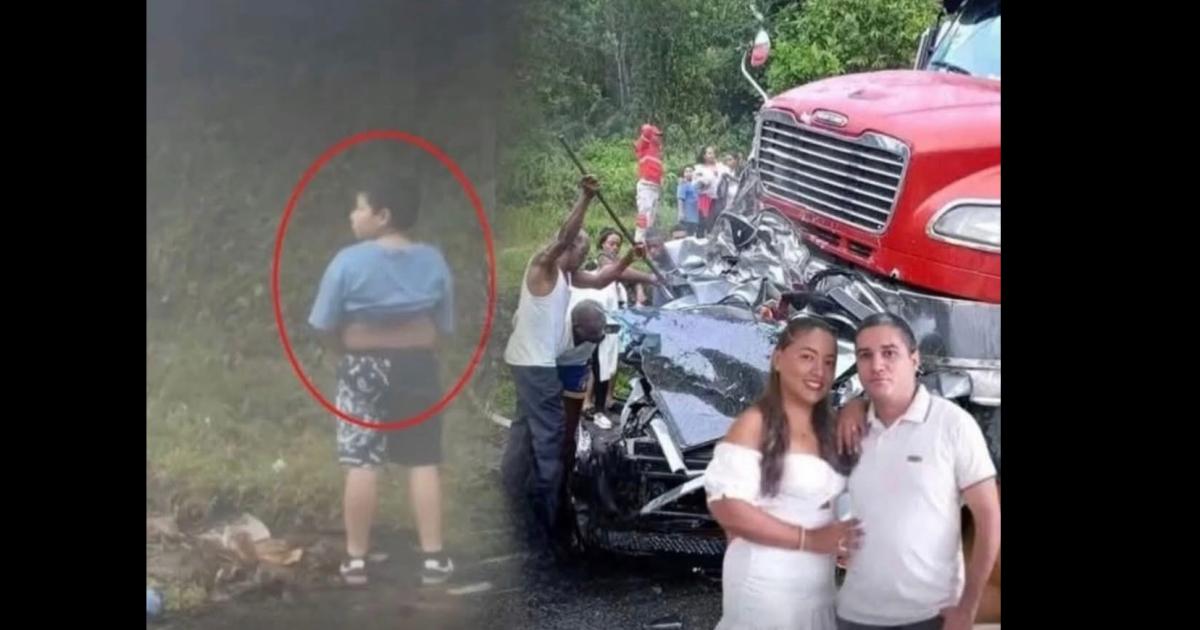 VIDEO  Impactante tragedia familiar- bajoacute a la ruta a orinar y sus padres murieron embestidos por un camioacuten