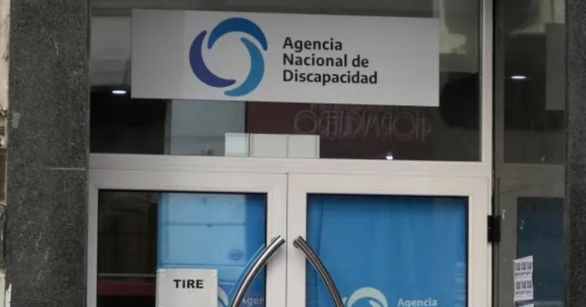 Causa ANDIS- Garbellini negoacute integrar una organizacioacuten criminal y apuntoacute contra Spagnuolo