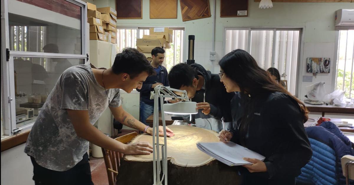 TRÁMITE Ser� hasta el 13 de febrero