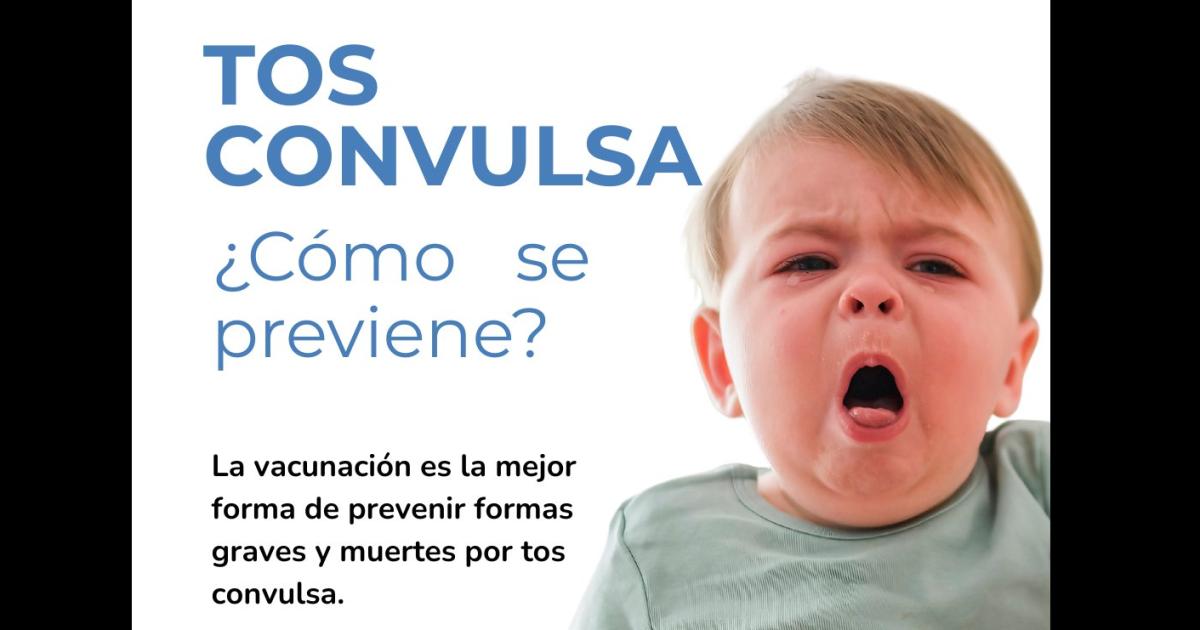 TOS CONVULSA Es una infección respiratoria causada por una bacteria