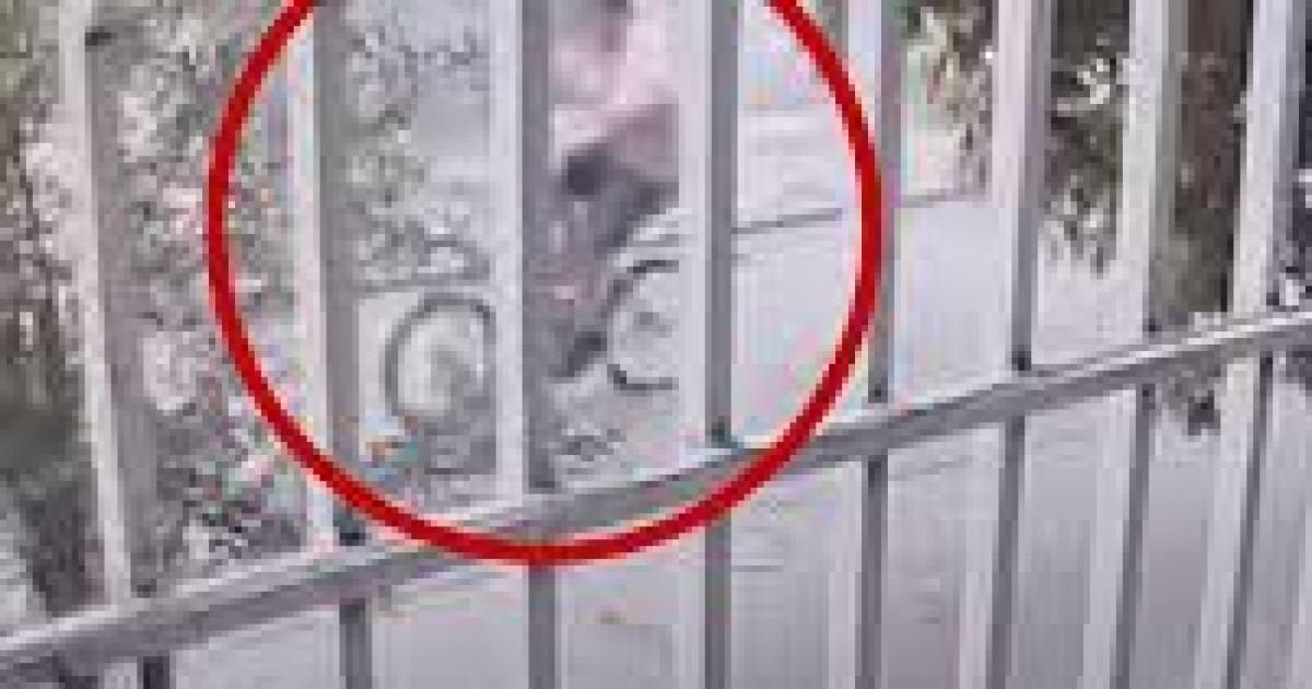 Le roboacute la bicicleta a un chico que jugaba en la plaza y lo dejoacute llorando