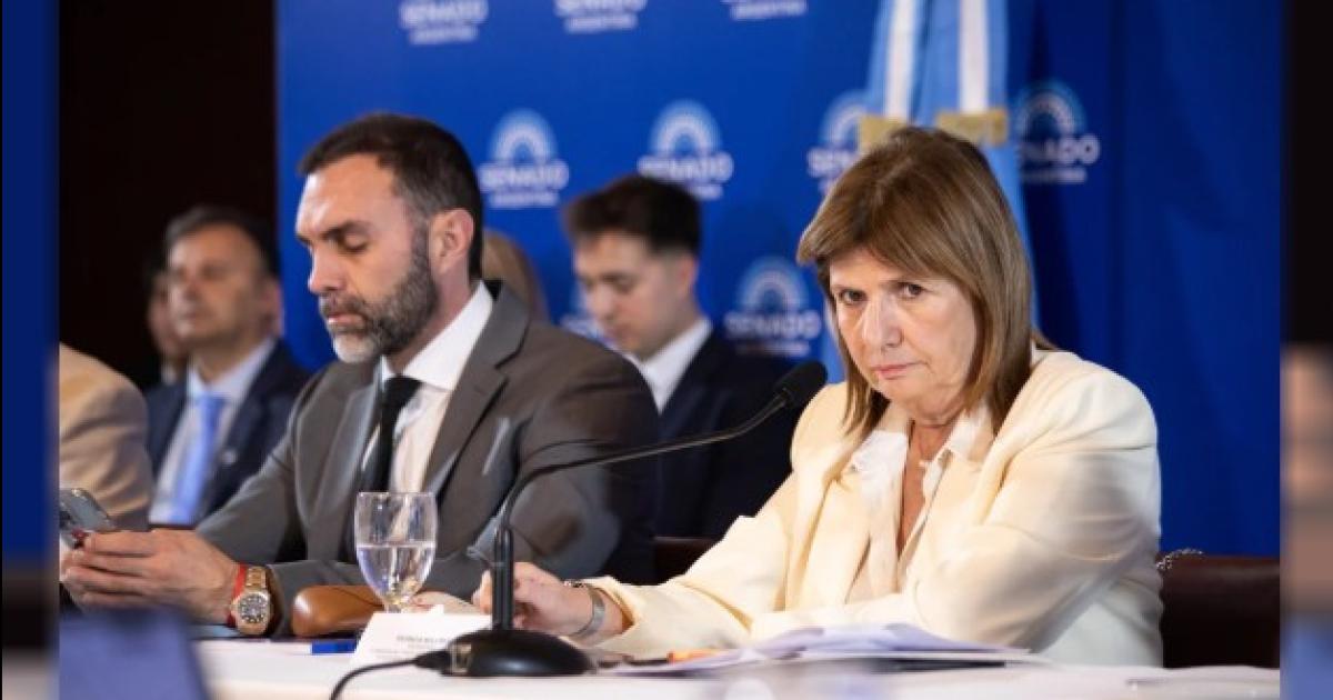 Patricia Bullrich en el Senado Foto- Agencia NA (Redes) (Foto- RedesNA)