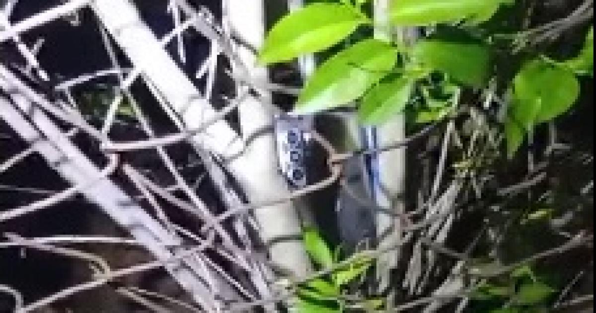 Portentildeo asaltoacute a Uber le roboacute la moto y el celular- cayoacute por el geolocalizador