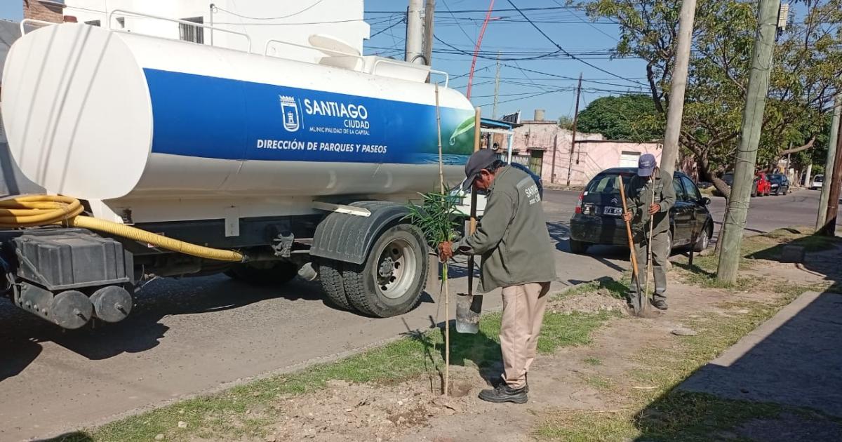 La Municipalidad plantoacute maacutes de 60000 aacuterboles 