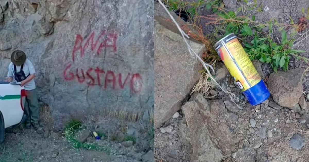  (Foto- Gentileza Parque Nacional Nahuel Huapi)