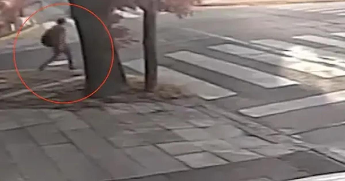 VIDEO DEL HORROR  Asiacute fue el brutal femicidio en el que una mujer fue apuntildealada en el cuello