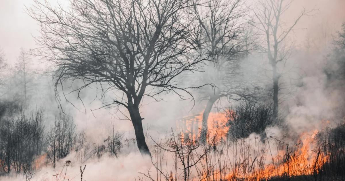 Incendios forestales- cuaacuteles son las diez provincias que se encuentran bajo alerta por el calor extremo
