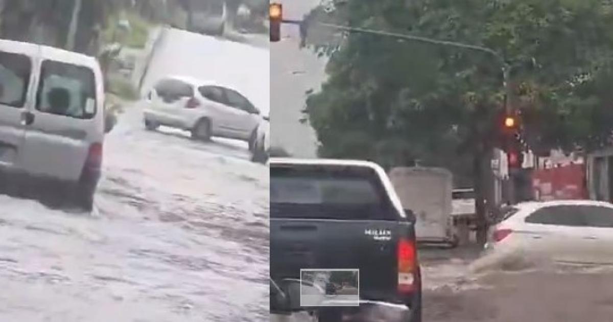 Foto- Gentileza Contexto