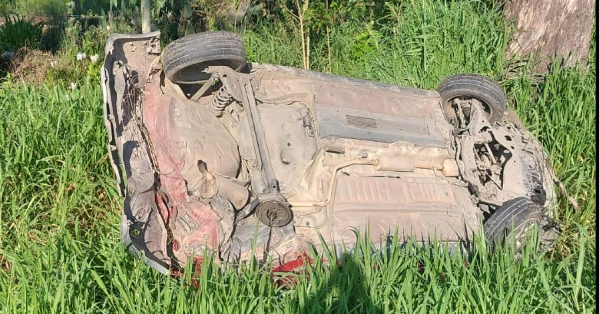 TUMBOS Los peritos señalaron que el auto dio varios tumbos hasta dar de lleno contra los eucaliptus