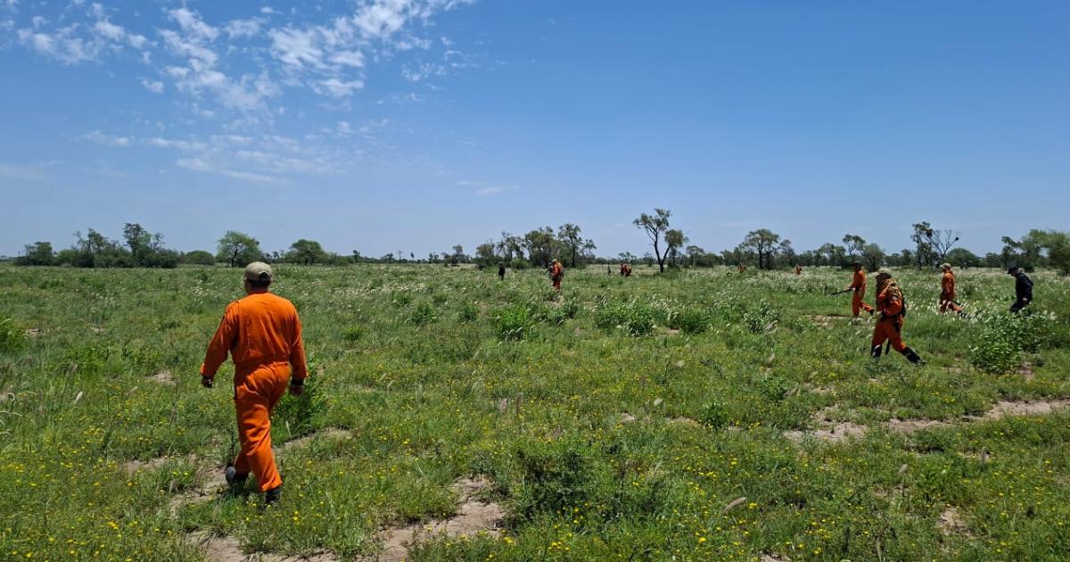 El sudeste en vilo por la desaparicioacuten de un hombre de 73 antildeos