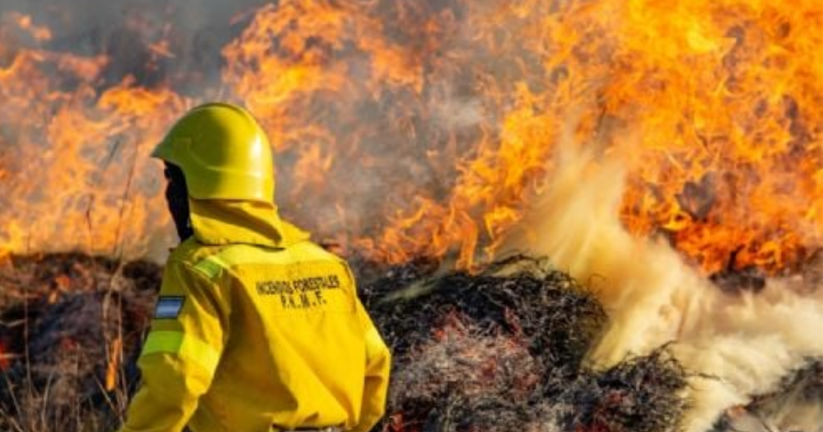 Santiago del Estero entre las provincias bajo alerta por peligro de incendios- cuidados y precauciones a tener en cuenta