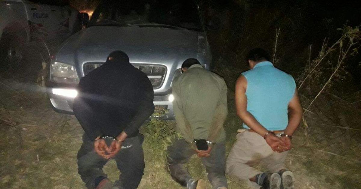 Fianzas de 5 millones para triacuteo por abigeato y burlar control policial