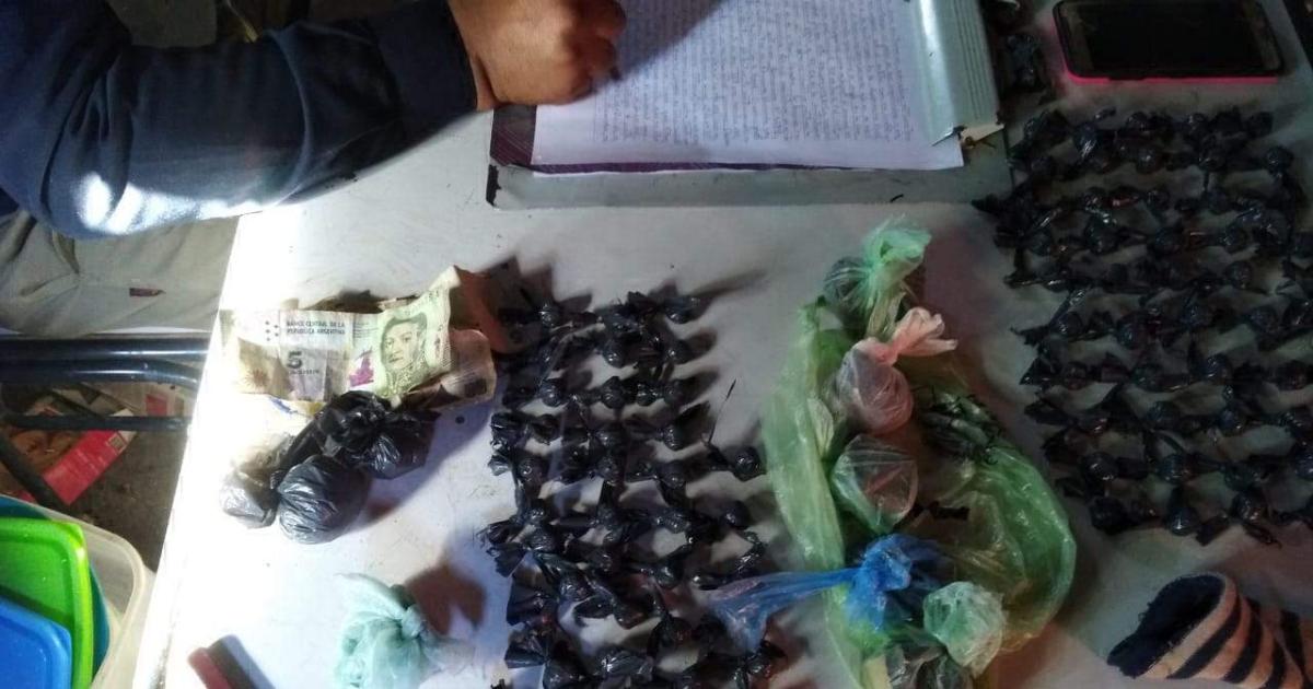 Seguiraacute detenido el verdulero que vendiacutea drogas en Icantildeo