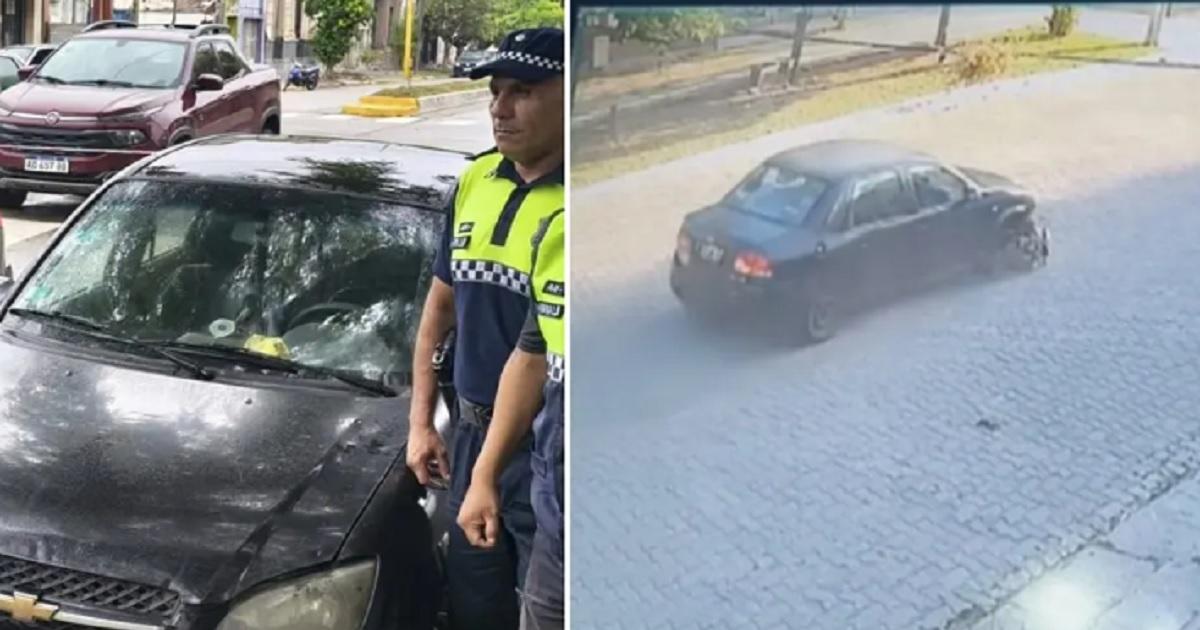 El conductor de un automoacutevil chocoacute y matoacute a dos perros en plena calle- la Policiacutea lo identificoacute y le secuestroacute el vehiacuteculo