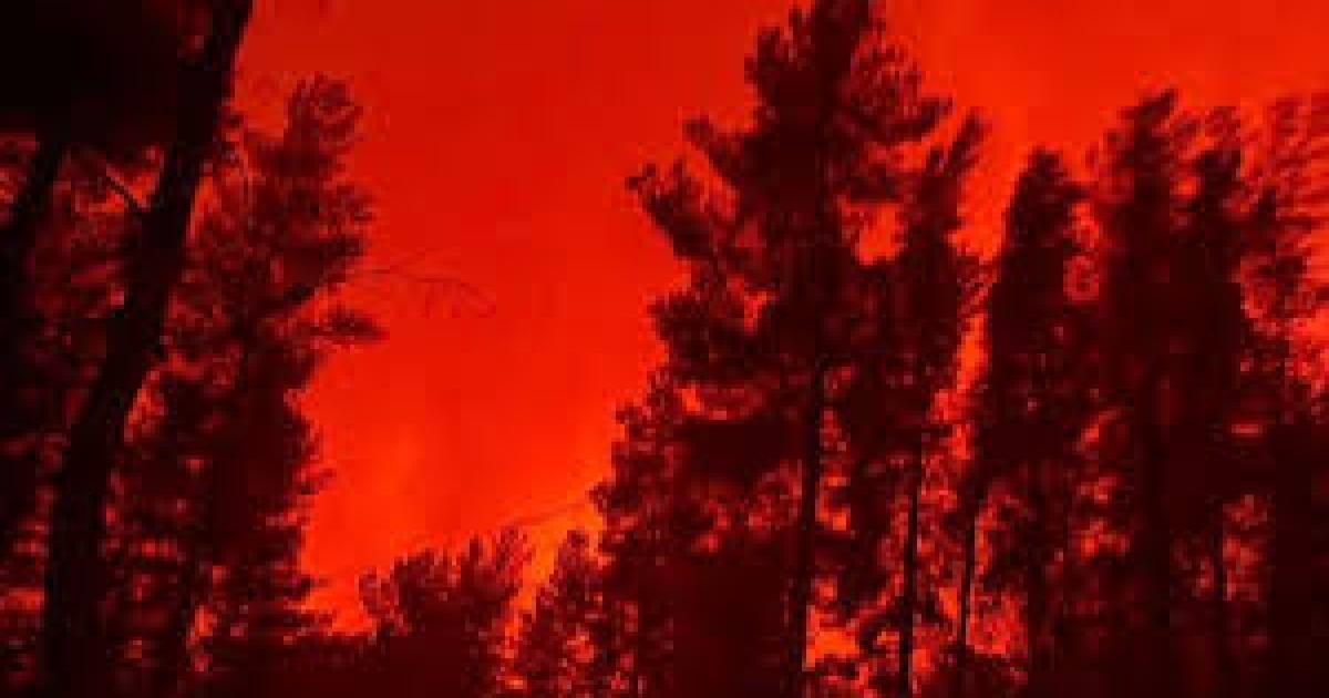 Politoacuteloga realizoacute una grave denuncia contra Javier Milei