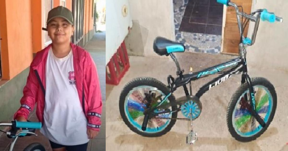 Barrio Villa del Carmen- Identifican al autor y recuperan la bicicleta robada a una niña