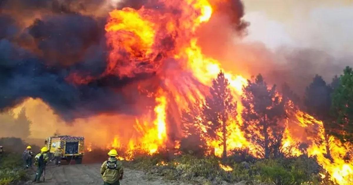 Chubut- la Justicia confirmoacute la causa de los incendios