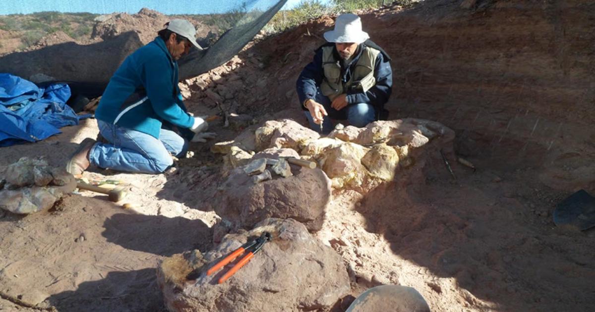 (Foto- investigadorTN)