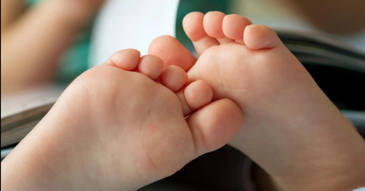 Foto- Ilustrativa  Internet