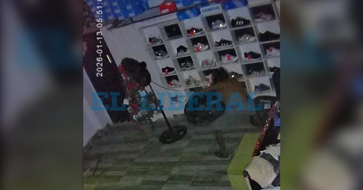 Asiacute fue el robo a un local deportivo en barrio Reconquista- dos detenidos y parte de la mercaderiacutea recuperada