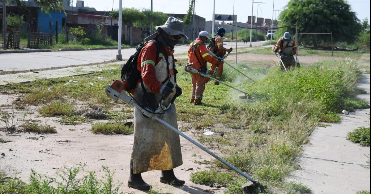 Desmalezamiento en la zona sur de la ciudad 