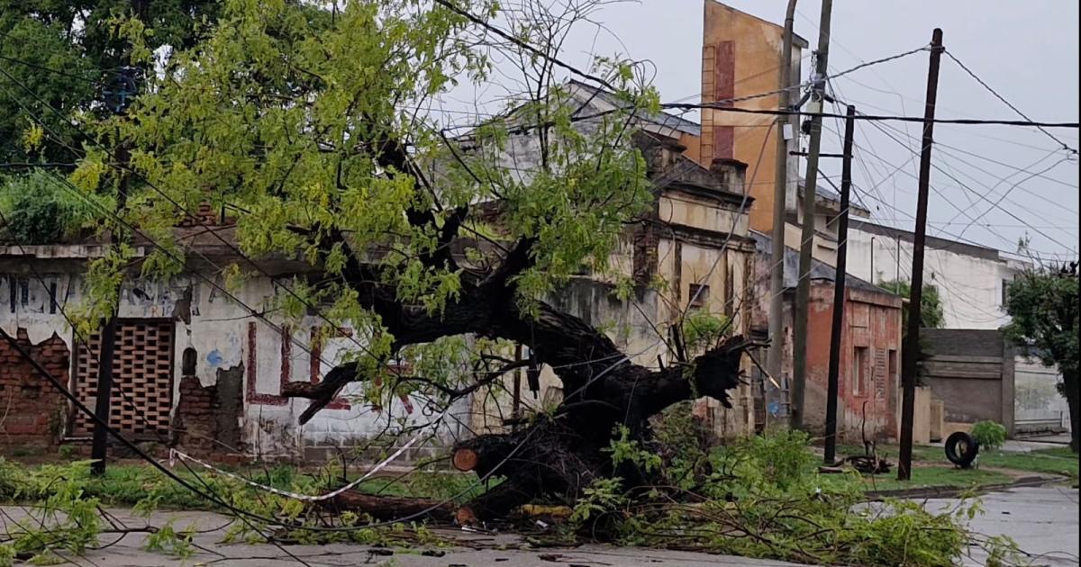 Una fuerte tormenta se precipitoacute en Friacuteas esta madrugada