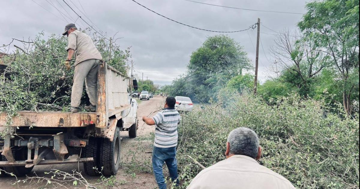 Foto- Consejo Provincial de Vialidad Santiago del Estero
