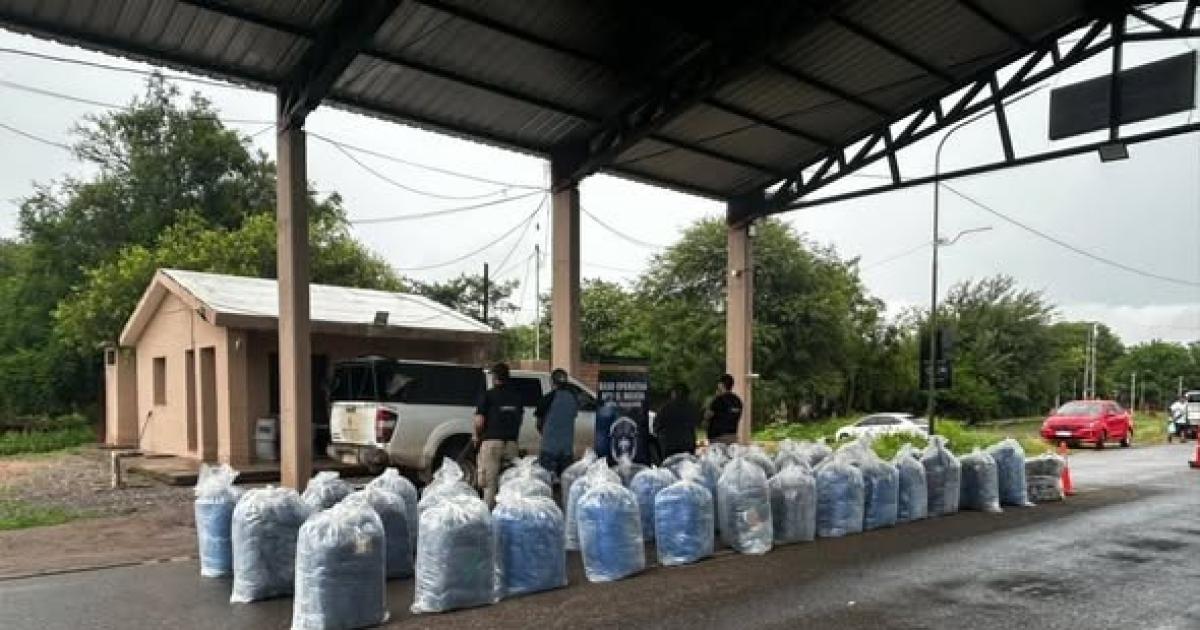 La Policiacutea secuestra maacutes de 900 kilos de hojas de coca en un control en la frontera norte