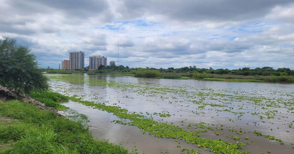 Las algas coparon el río Dulce