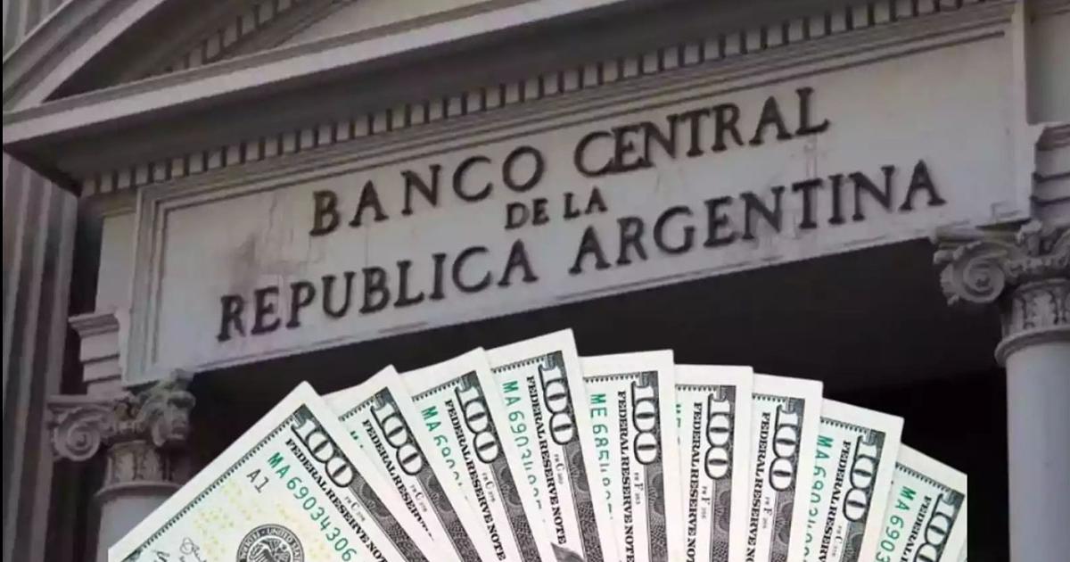 El BCRA comproacute reservas y alcanzoacute un reacutecord en la gestioacuten de Milei