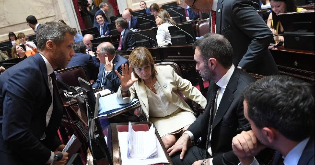 (Fotos -Sofía Areco Comunicación Senado)  Compartir Seguin