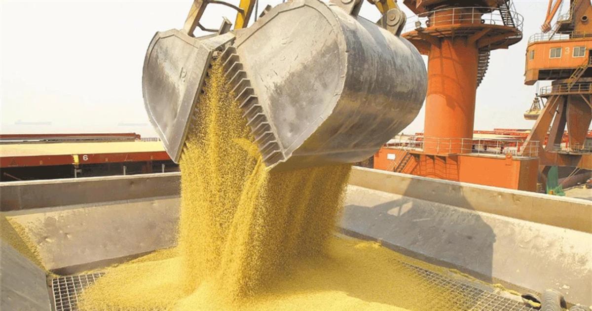 Productores en alerta por la letra chica del acuerdo entre el Mercosur y la Unioacuten Europea