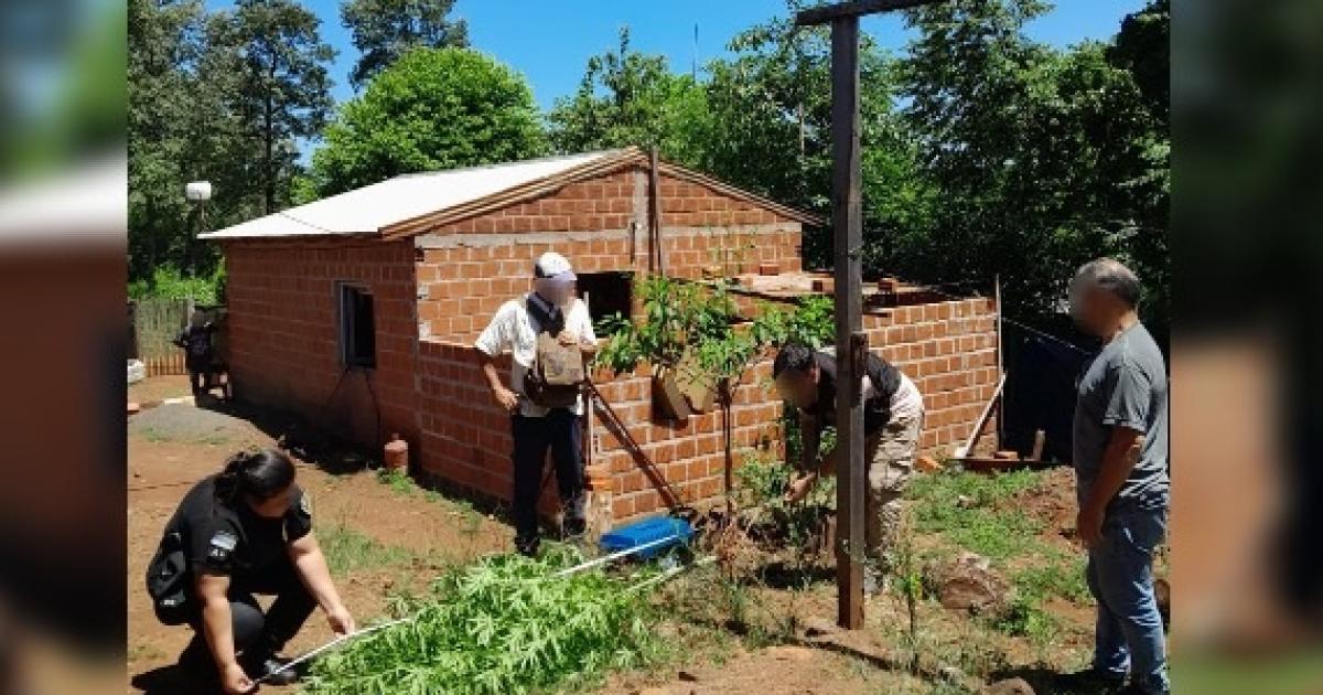 (Foto- Misiones Online)