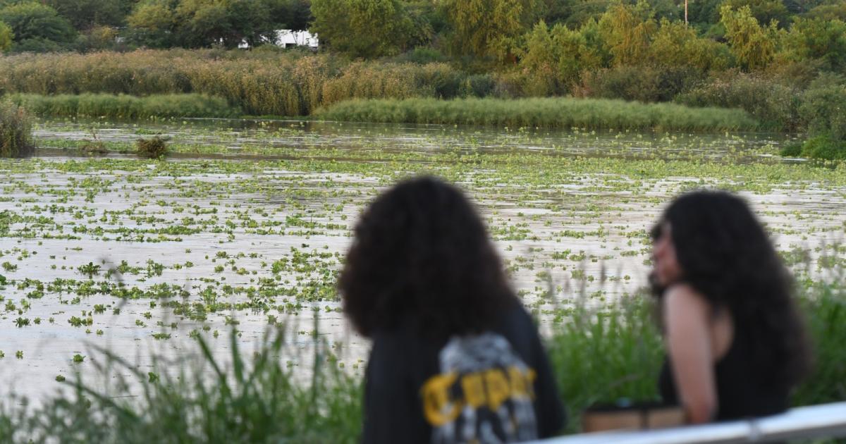 Especialista explicoacute el origen de los camalotes en el riacuteo Dulce