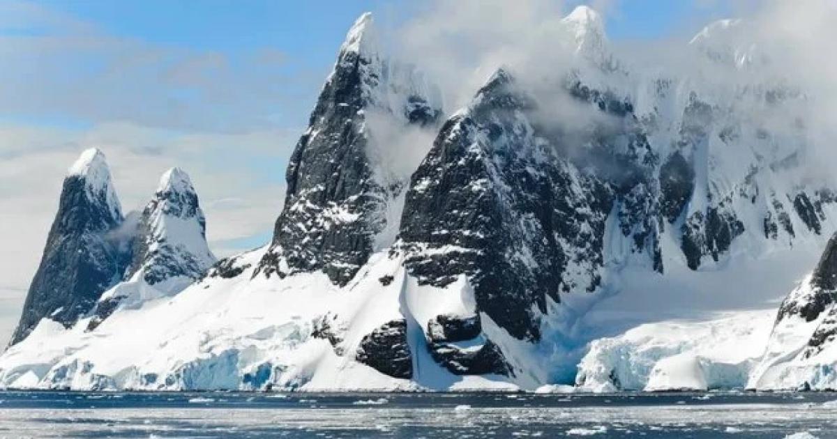 Importante hallazgo de cientiacuteficos en la Antaacutertida