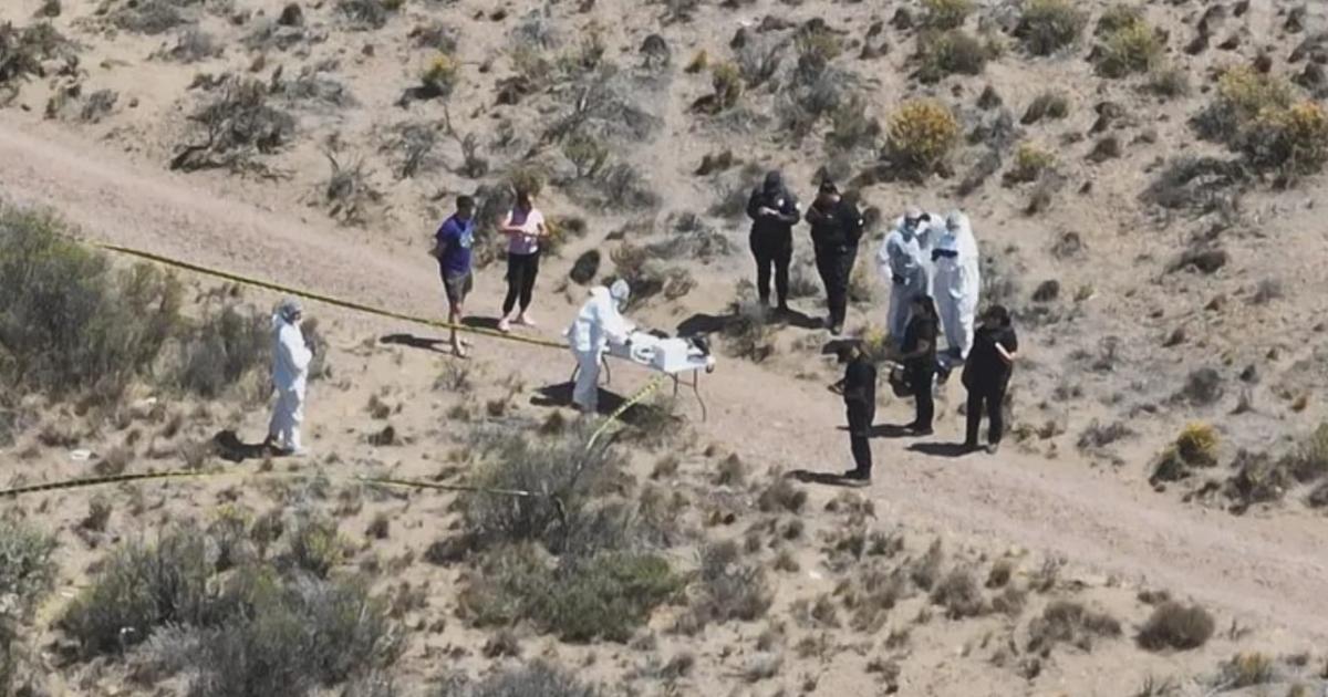 Foto- Del Mar Digital