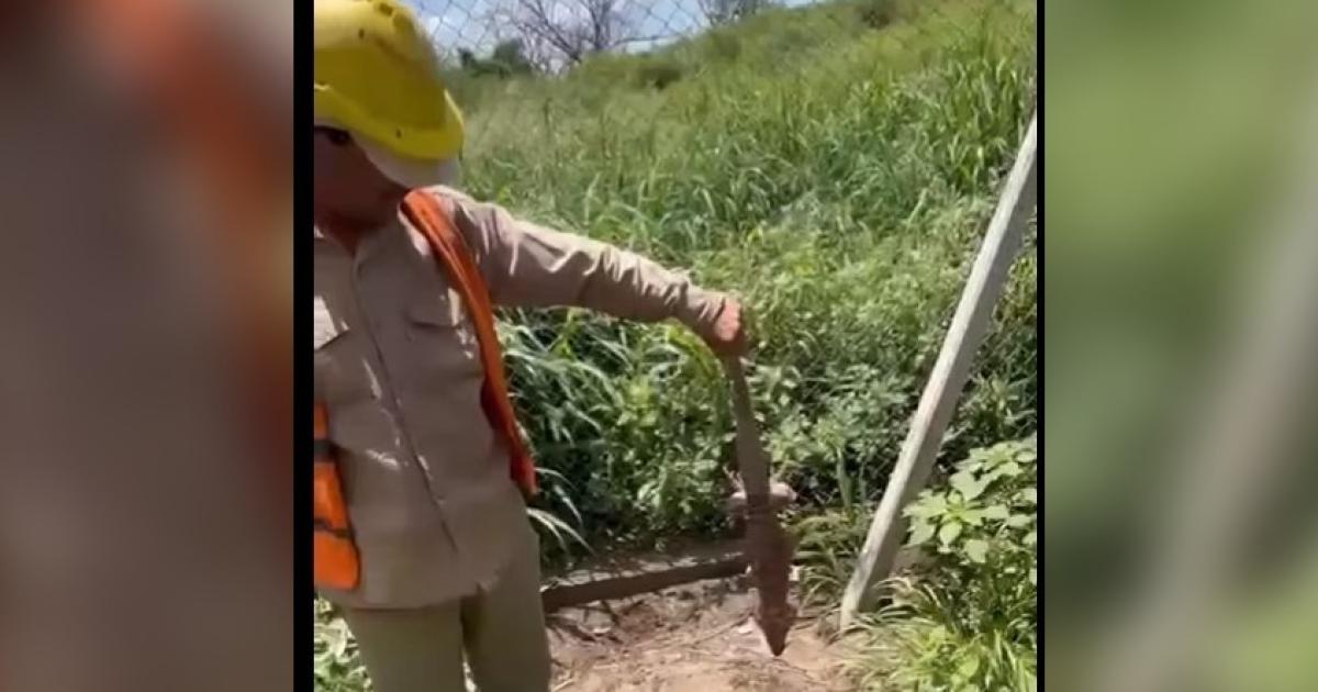Notifican a operarios por infraccioacuten a la Ley de Proteccioacuten de la Fauna