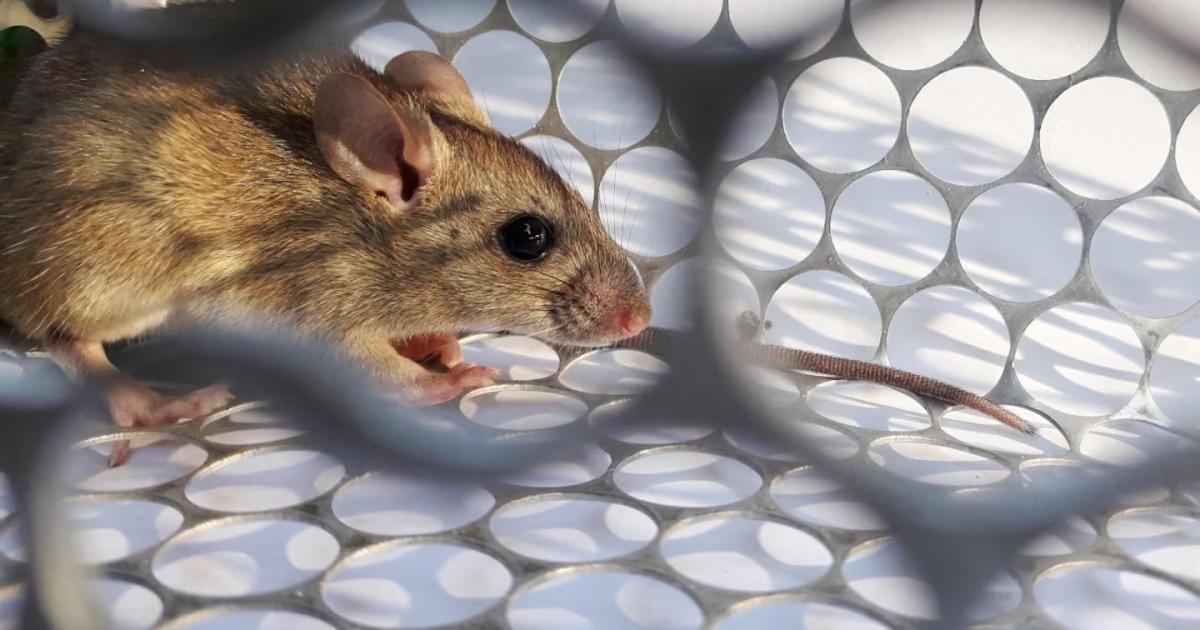 (Foto- Shutterstock)