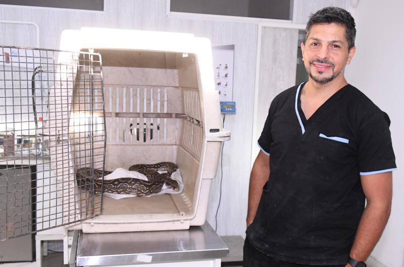 TRATAMIENTO El veterinario Kuhn informó que el ofidio est� estable